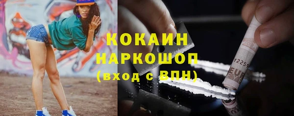 стаф Сафоново