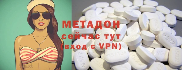 прущие грибы Алзамай