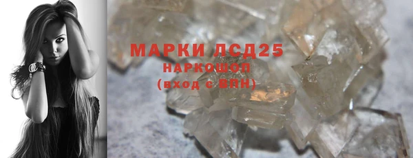 прущие грибы Алзамай