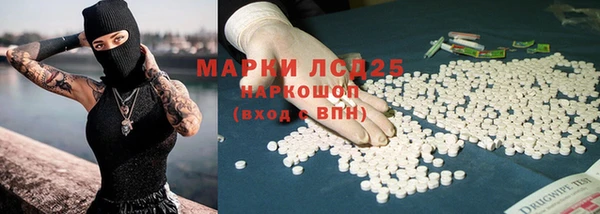 прущие грибы Алзамай