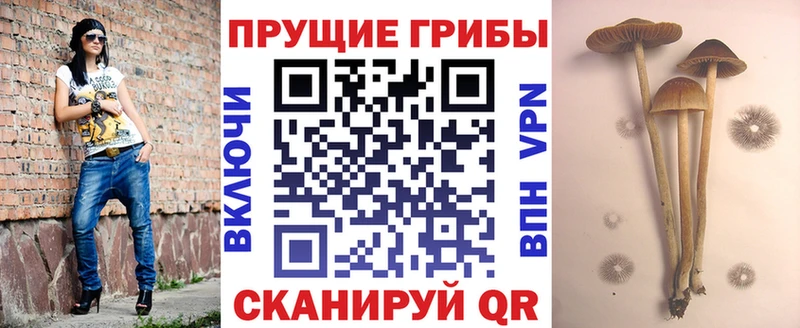 Галлюциногенные грибы ЛСД  Лагань 